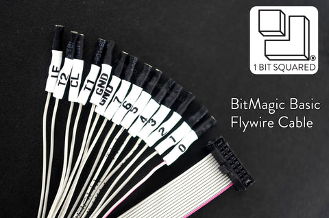 Bitmagic Basic 0.1in Pin Header Flywire Cable